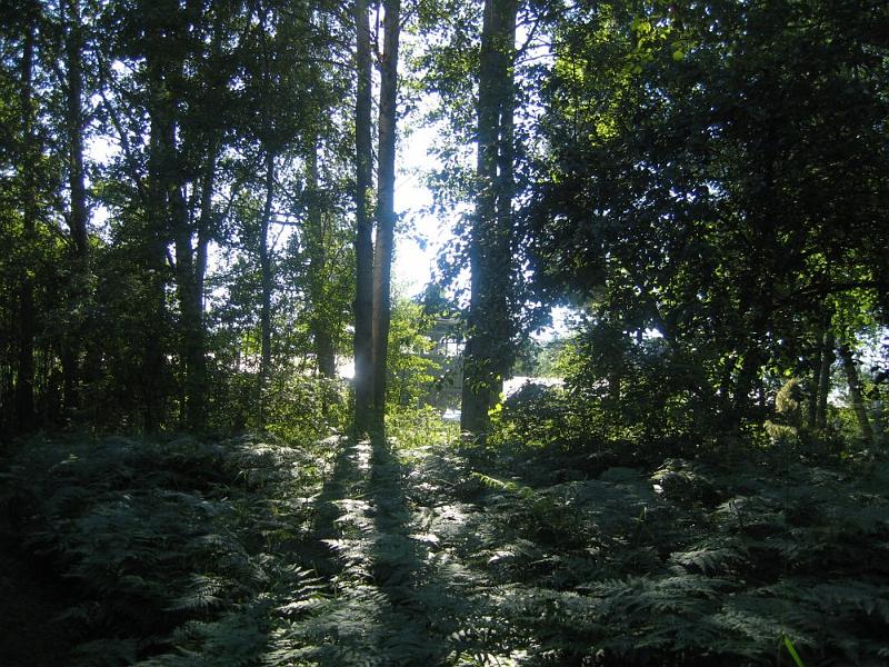 ahvenanmaa2007 057